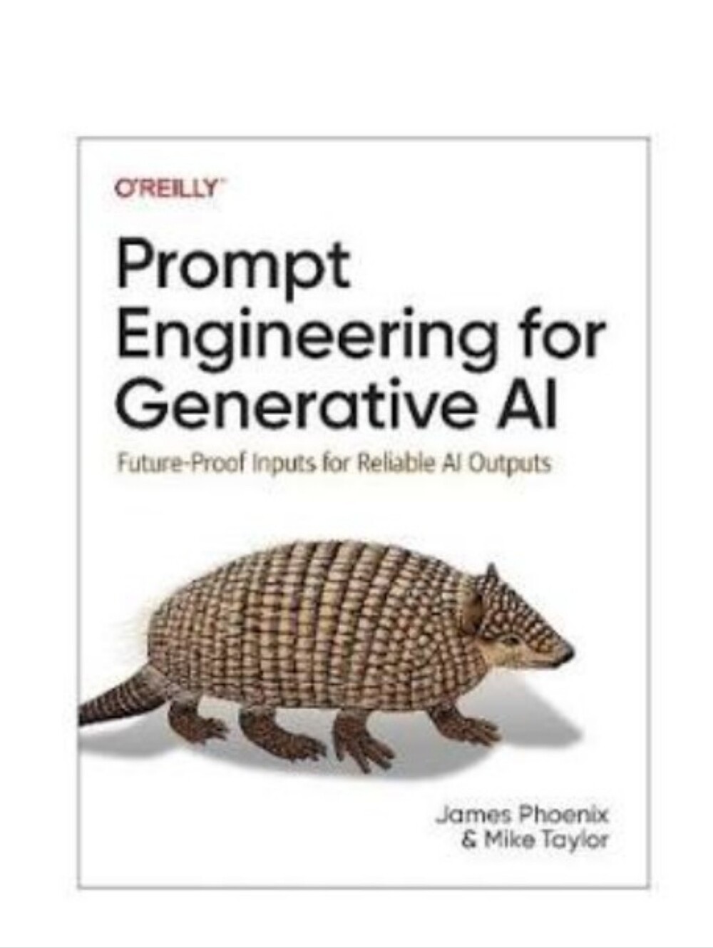 Prompt Engineering for Generative AI Future Proof Inputs Book Phoenix Taylor - Picture 4 of 4